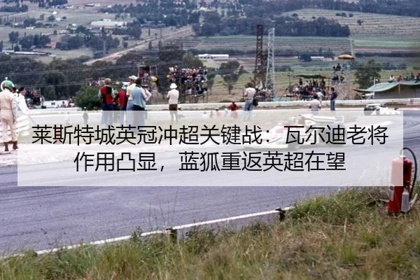 莱斯特城英冠冲超关键战：瓦尔迪老将作用凸显，蓝狐重返英超在望
