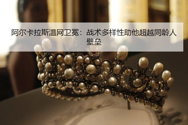 a-er-ka-la-si-wen-wang-wei-mian-zhan-shu-duo-yang-xing-zhu-ta-chao-yue-tong-ling-ren-bi-lei-2-405.jpg
