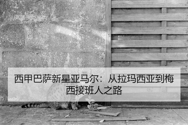 xi-jia-ba-sa-xin-xing-ya-ma-er-cong-la-ma-xi-ya-dao-mei-xi-jie-ban-ren-zhi-lu-2-816.jpg