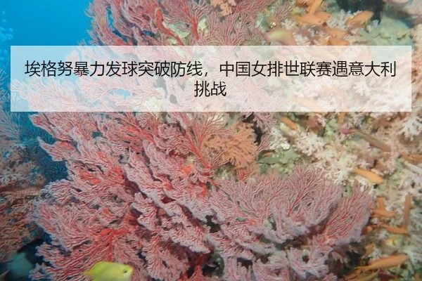 ai-ge-nu-bao-li-fa-qiu-tu-po-fang-xian-zhong-guo-nv-pai-shi-lian-sai-yu-yi-da-li-tiao-zhan-2-150.jpg