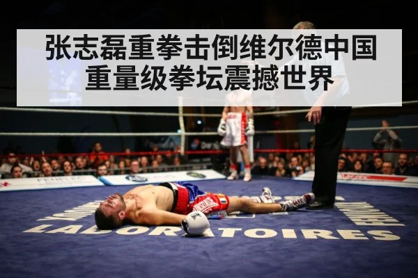张志磊重拳击倒维尔德中国重量级拳坛震撼世界